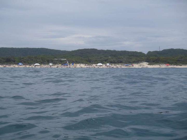 P2270096-F800x800.jpg - Surf Boat Carnival on Elizabeth Beach