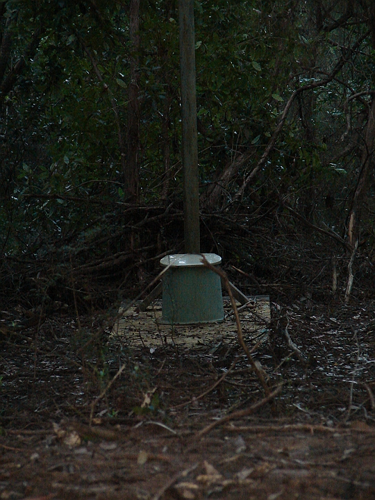 DSC01643.JPG - and use the toilet.  The hut was about 4km from Nadgee River campsite (Photo by Paul)